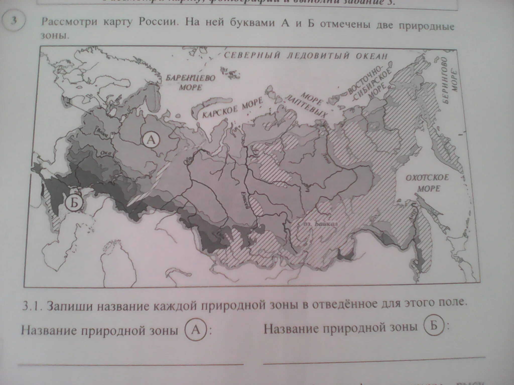 Природные зоны четвертый класс впр