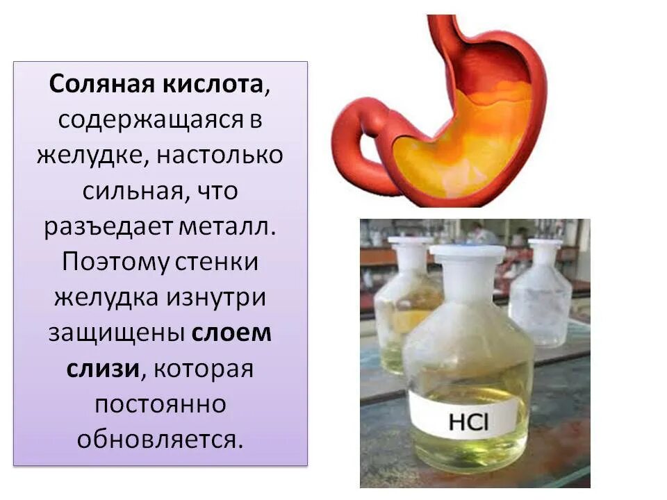 Почему выделяется желудочный сок. Соляная кислота желудочного сока. Концентрация соляной кислоты в желудочном соке. Сольнапя кислта вжелуде. Соляная кислота в желудке.