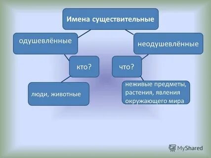 Книга неодушевленное