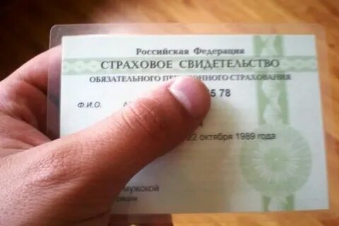 Как по полису узнать снилс