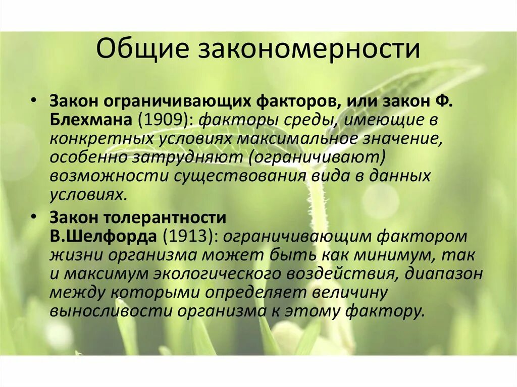 Закономерности жизни. Основные закономерности существования живого. Экологические закономерности. Основные природные закономерности