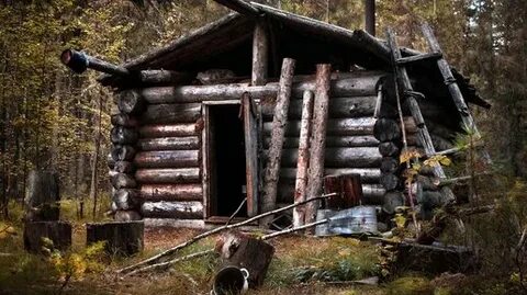 Рассказы про тайгу мистика