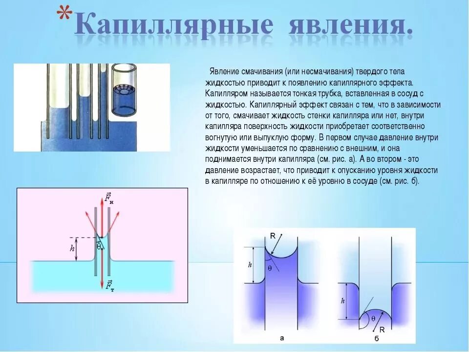 Жидкость капиллярное явление. Капиллярные трубки физика 10 класс. Явление смачивания и капиллярности. Капиллярные явления смачивание и несмачивание жидкости. Капиллярные явления. Явление смачивания.