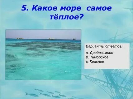 Какое море теплое летом. Какое море теплое летом