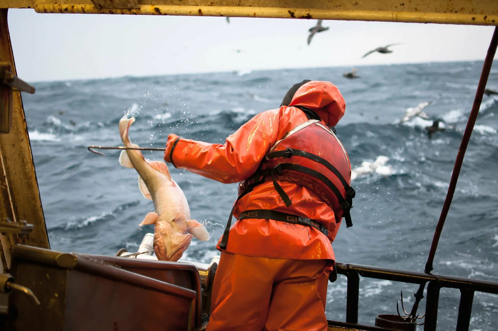 Рыбы Берингова моря. Берингово море промысел. Рыбный промысел в Баренцевом море. Берингово море рыбалка. Британцы ловят рыбу в баренцевом море