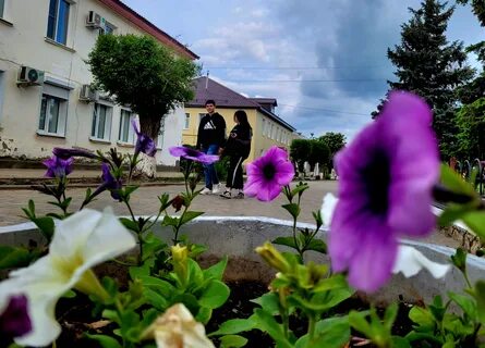 Цветы каменска
