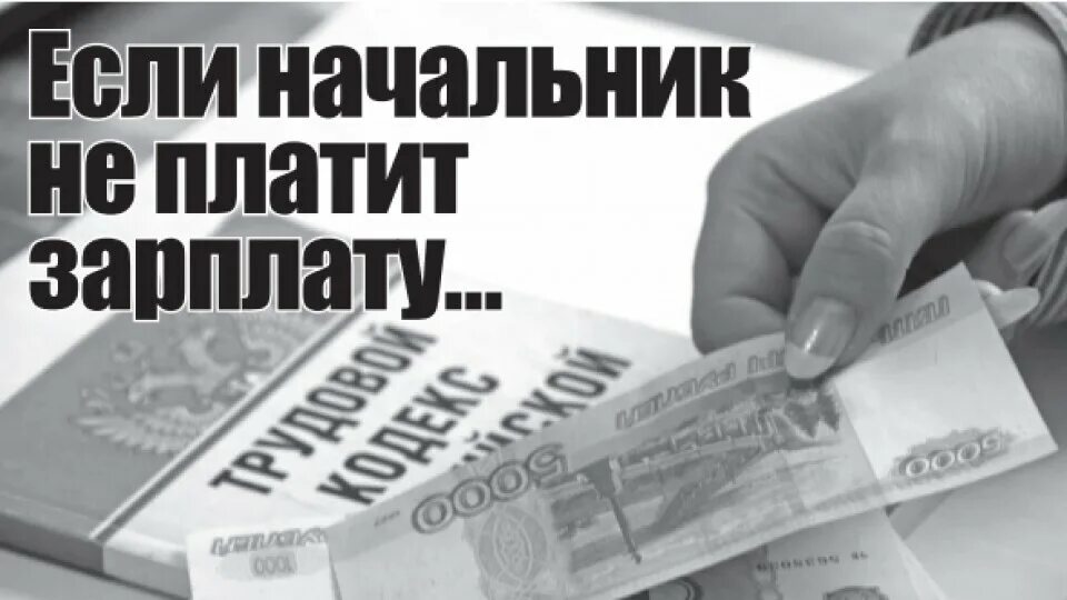 Инспекция труда и заработной платы. Если не платят зарплату. не выплачивается заработная плата. работодатель не платит зарплату. невыплата заработной платы картинки.