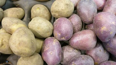 Самый вкусный картофель сорт отзывы какой