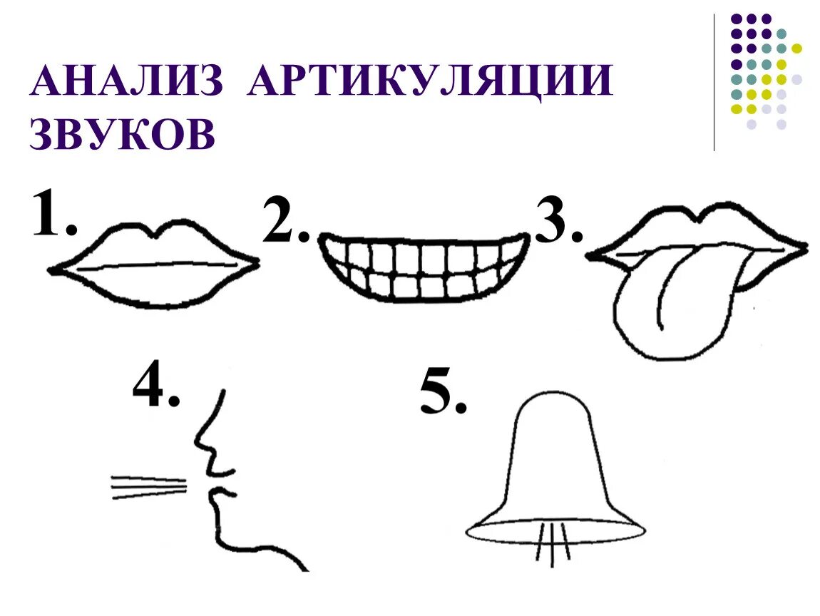 Анализ артикуляции. Схемы артикуляции звуков. Схема звука л. Схема артикуляции звука л. Схема произношения звуков.