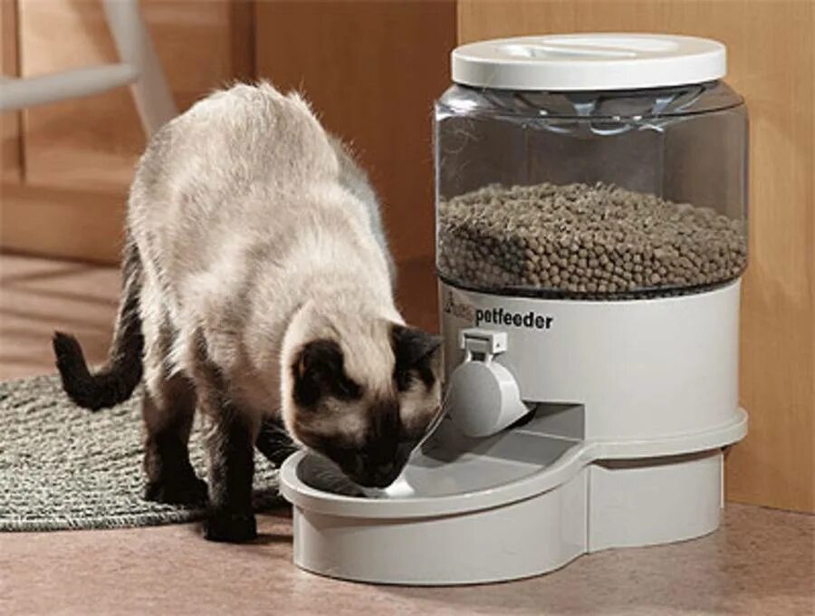 Кормушки для котов в китае. Pet Feeder кормушка. Автокормушка для кошек. Автоматическая кормушка. Автоматизированная кормушка для кошек.