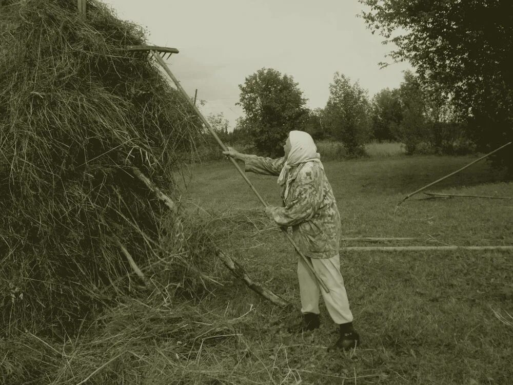 Деревенские будни. Деревенские будни фото. Фотографии деревенской жизни. Сельский фотоальбом. Будни кирдыксель