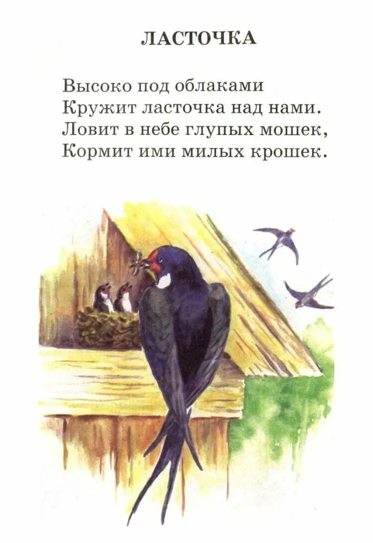 Стихи для детей про птиц весной. Майков ласточки. Стих про ласточку. Ласточка стихотворение. Стихотворенласточки”.