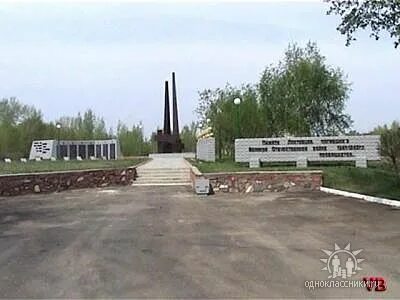Погода горняк алтайский на дня 10