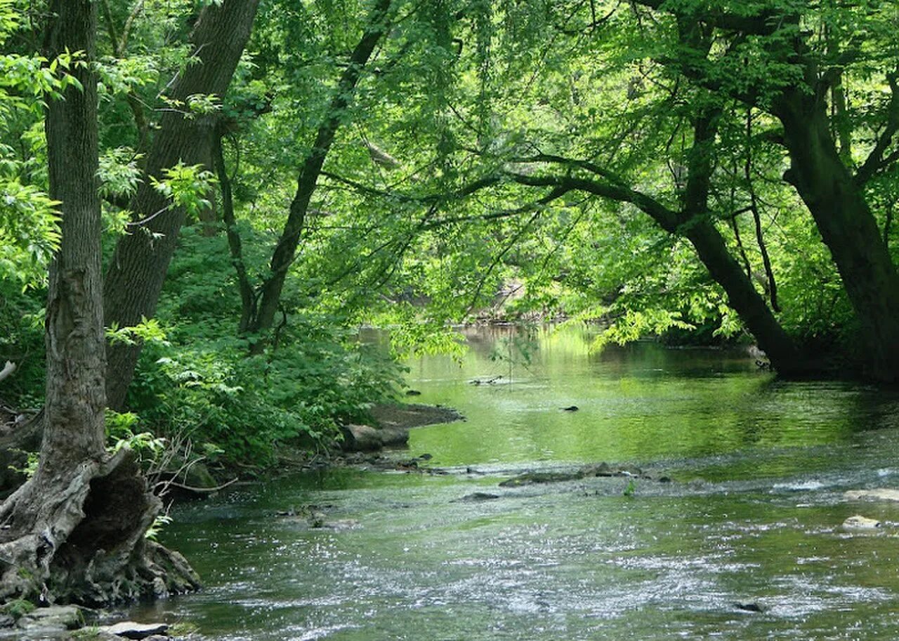 Делавар река. Река Делавер Филадельфия. Делавэр (округ, Пенсильвания). Река в Пенсильвании. Site 23