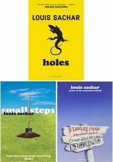 Holes book