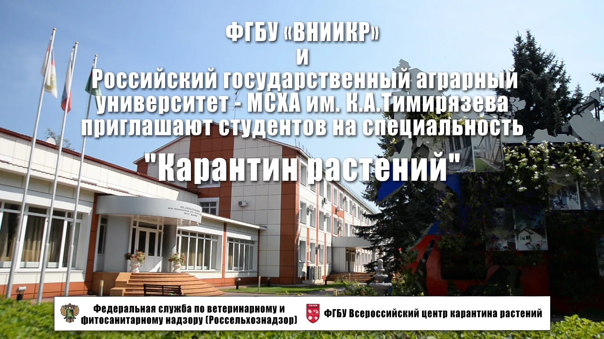 Филиал фгбу вниикр. Институт карантина растений быково. вниикр киров. пятигорск фгбу вниикр. фгбу вниикр иркутский филиал.