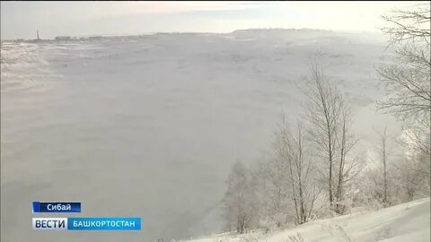 В сибае поймут