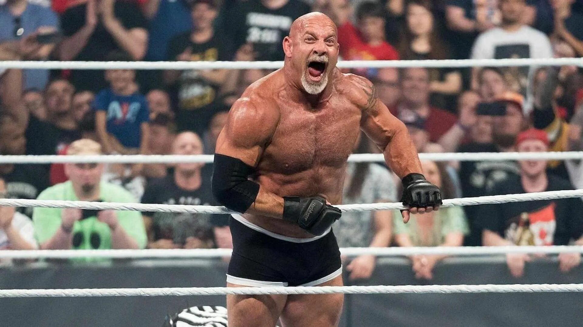 Билл Голдберг. Голдберг WWE. Goldberg Рестлер. Билл Голдберг 2022. Голдберг рестлер