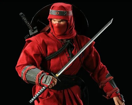 Воины тени ниндзя и ниндзюцу. Боевое одеяние ниндзя. Ниндзя новогодний костюм. Тон ниндзя. Черный ниндзя.