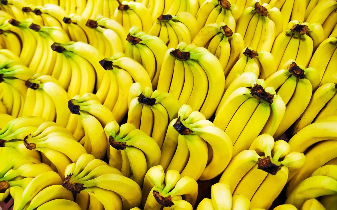 Бананы Уругвай. Красивый банан. Самый красивый банан. Банан фото.