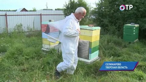 Рп5 селижарово