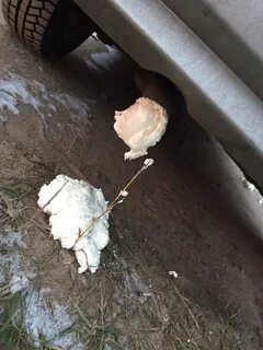 Плохая монтажная пена