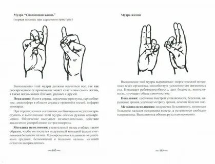 Мудра жизни описание