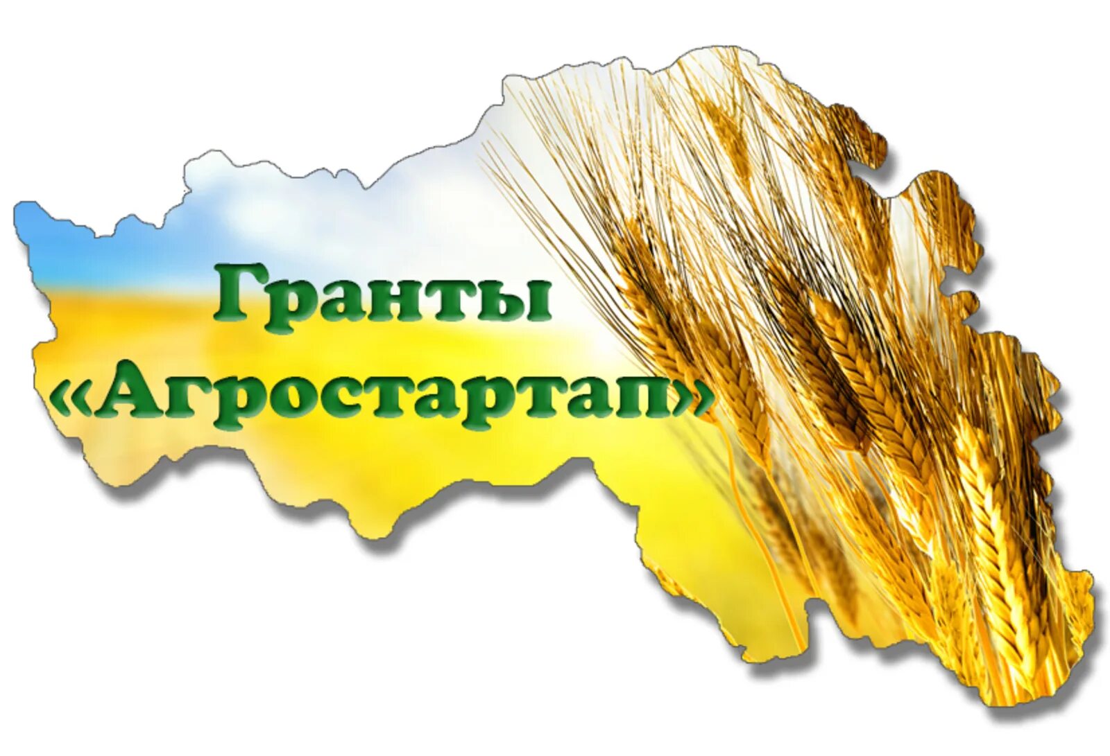 Конкурсы на объявление грантов. Агростартап. Агростартап 2022. Грант агростартап. Конкурс грантов «агростартап».