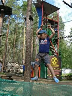 Хамелеон чита
