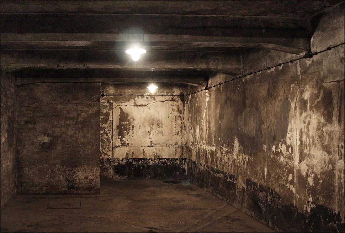 газовая камера в концлагере аушвиц. люди газовые камеры. концлагерь аушвиц газовая камера доктор. лагерь аушвиц газовая камера. люди газовые камеры.