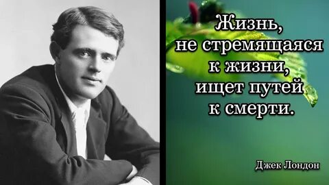 Джек лондон сила женщины