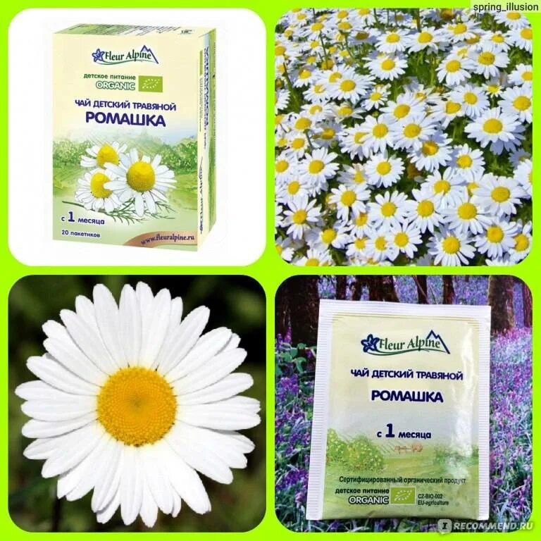 Ромашка при месячных. Какую ромашку можно пить. ромашка травы пить. ромашка для беременных. ромашка противовоспалительное.