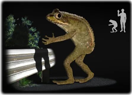 Лягушка бегает