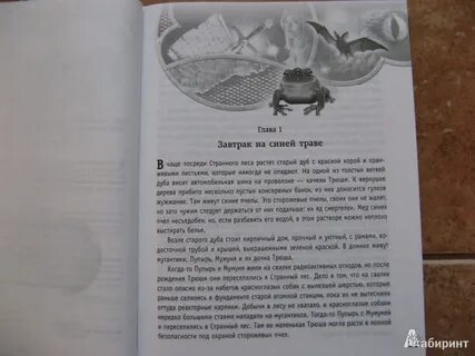 Сердце пирата емец