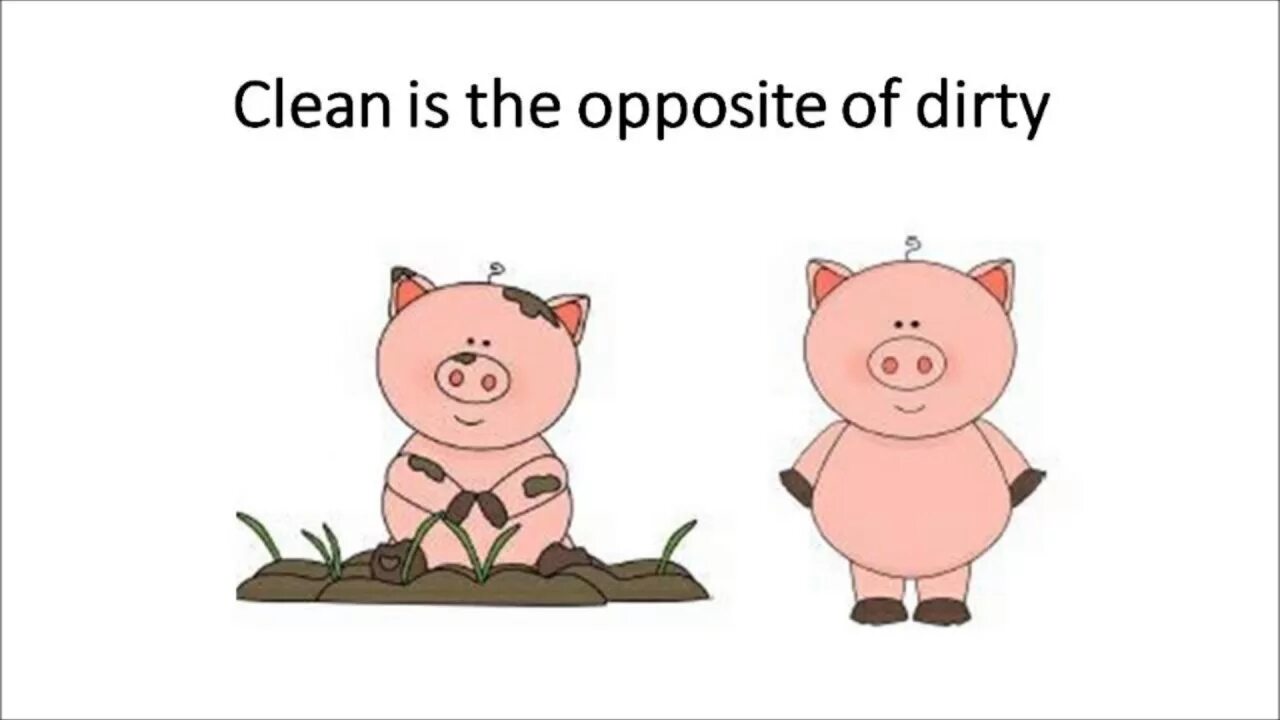 Clean Dirty. Clean Dirty opposites. Pig Words рисунок. Clean and Dirty for Kids.