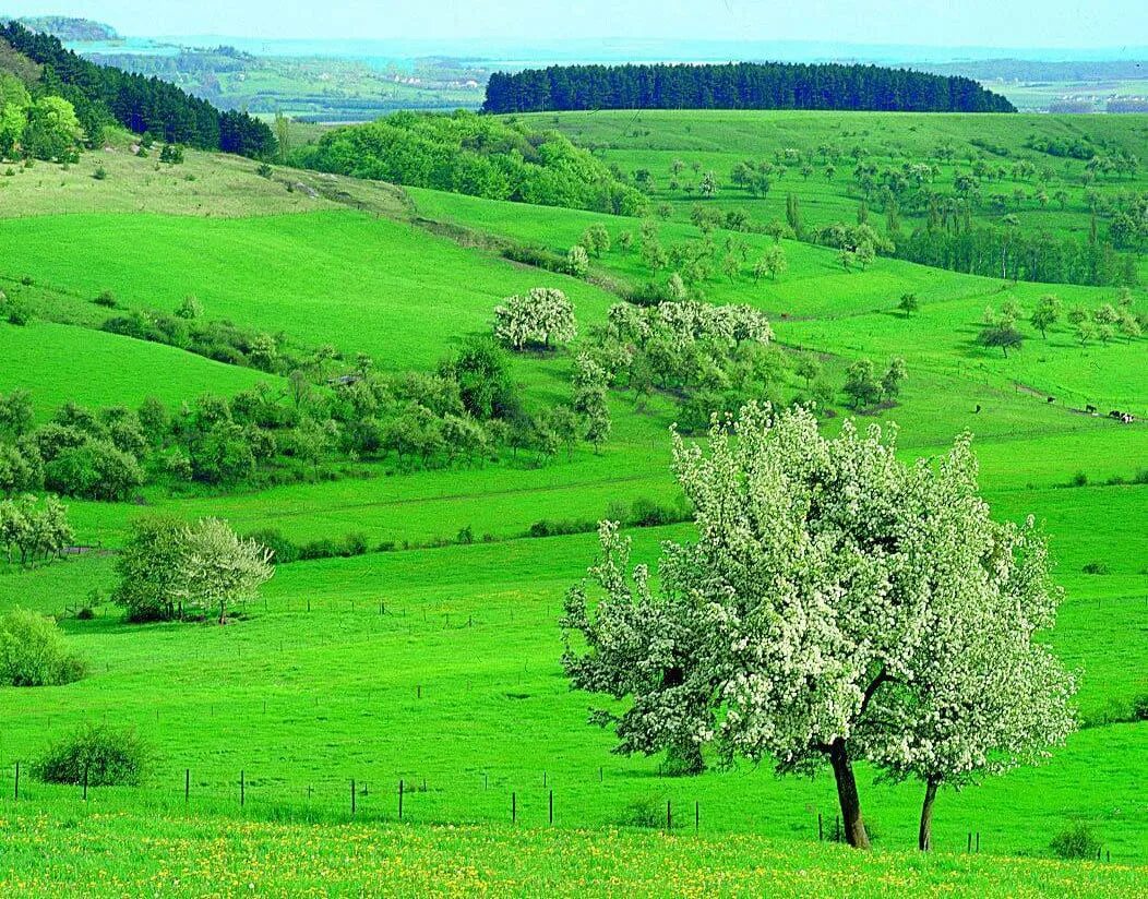 Рельеф люксембурга. Герцогство Люксембург природа. Флора Люксембурга. Ландшафт Люксембурга. Климат Люксембурга.