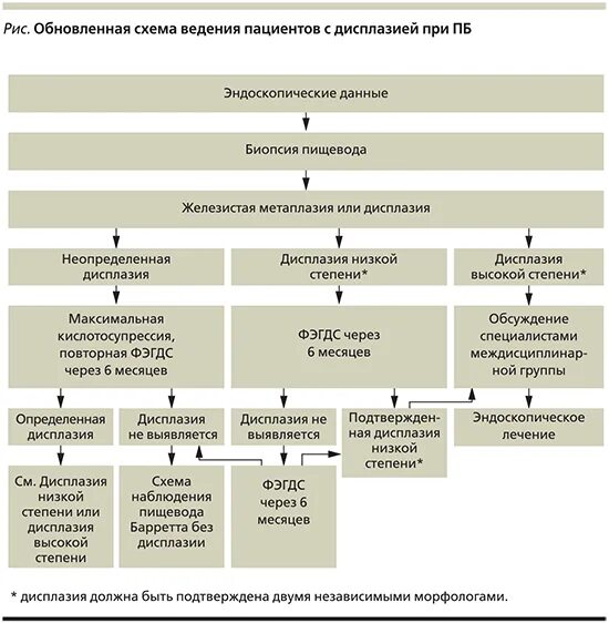 После лечения дисплазии. Степени дисплазии пищевода. Дисплазия пищевода низкой степени. Пищевод Барретта дисплазия. Дисплазия низкой степени.