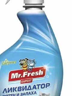 Mr fresher
