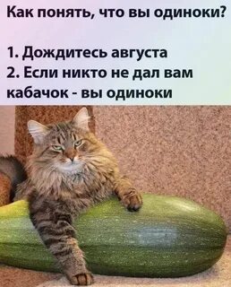 Предлагаю подождать