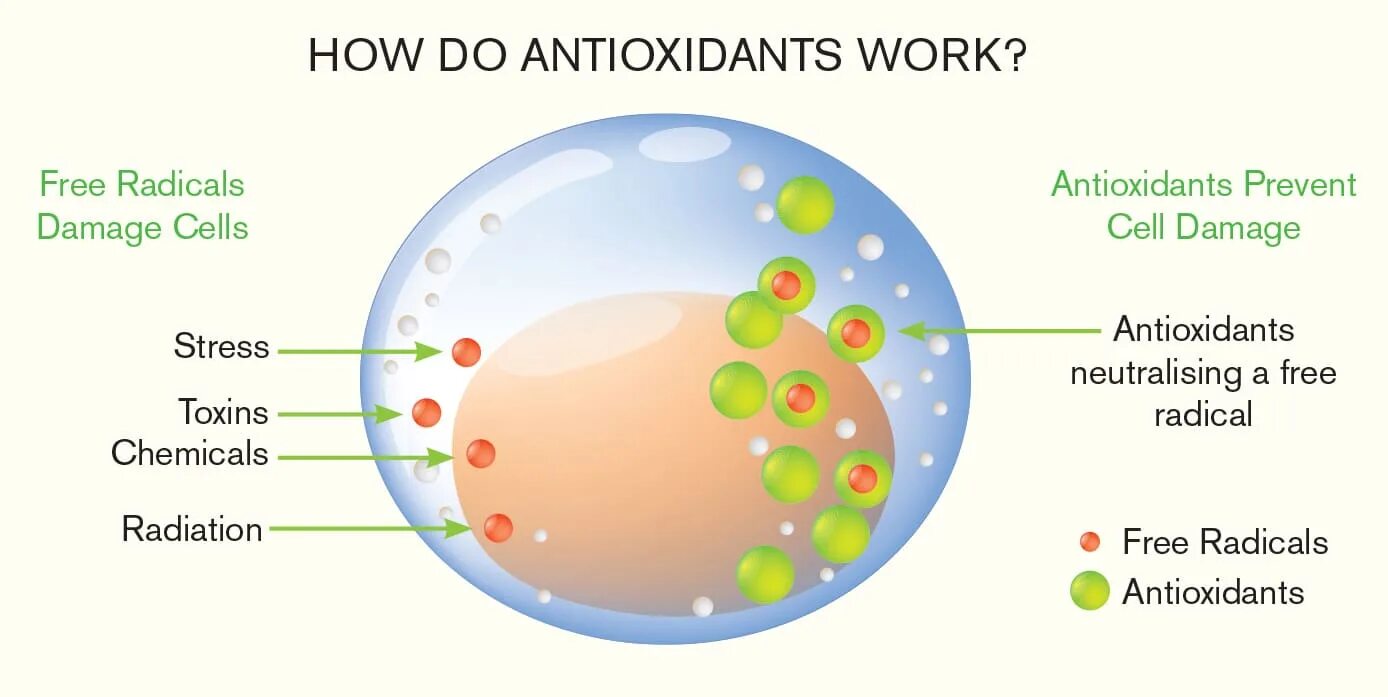 Antioxidant journal. Антиоксиданты это. how work antioxidants. антиоксидантное действие это. природные антиоксиданты.