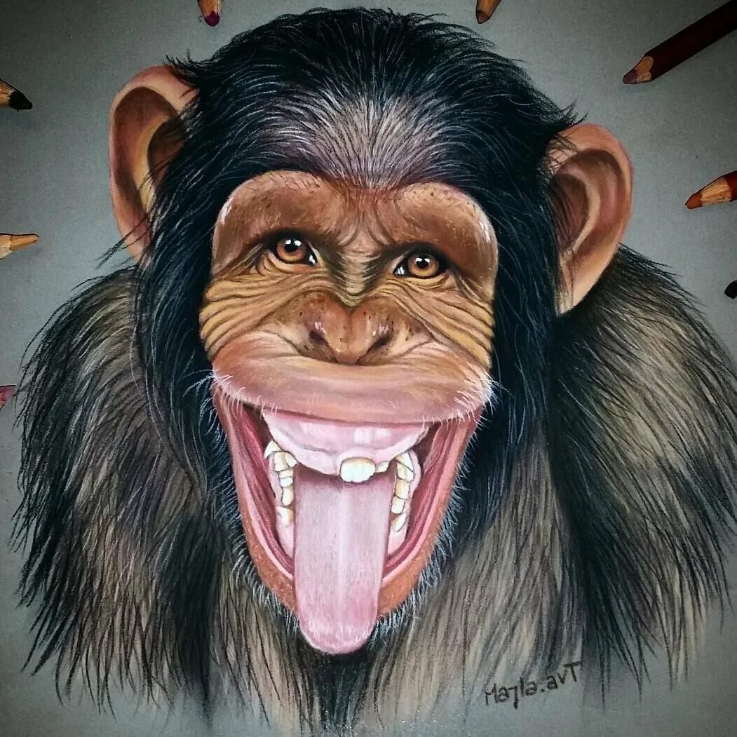 Monkey art