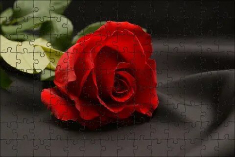 Красные розы к чему