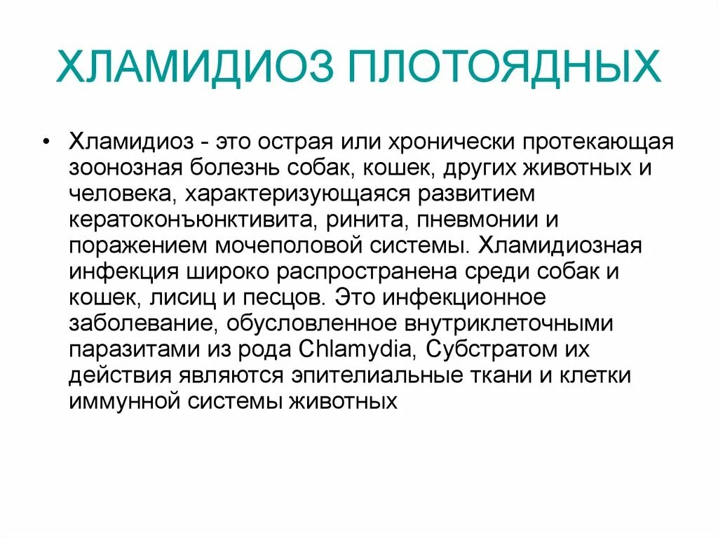 Хламидиоз проявляется через. Симптомы хламидиоза у кошек. Хламидиоз у собак симптомы.