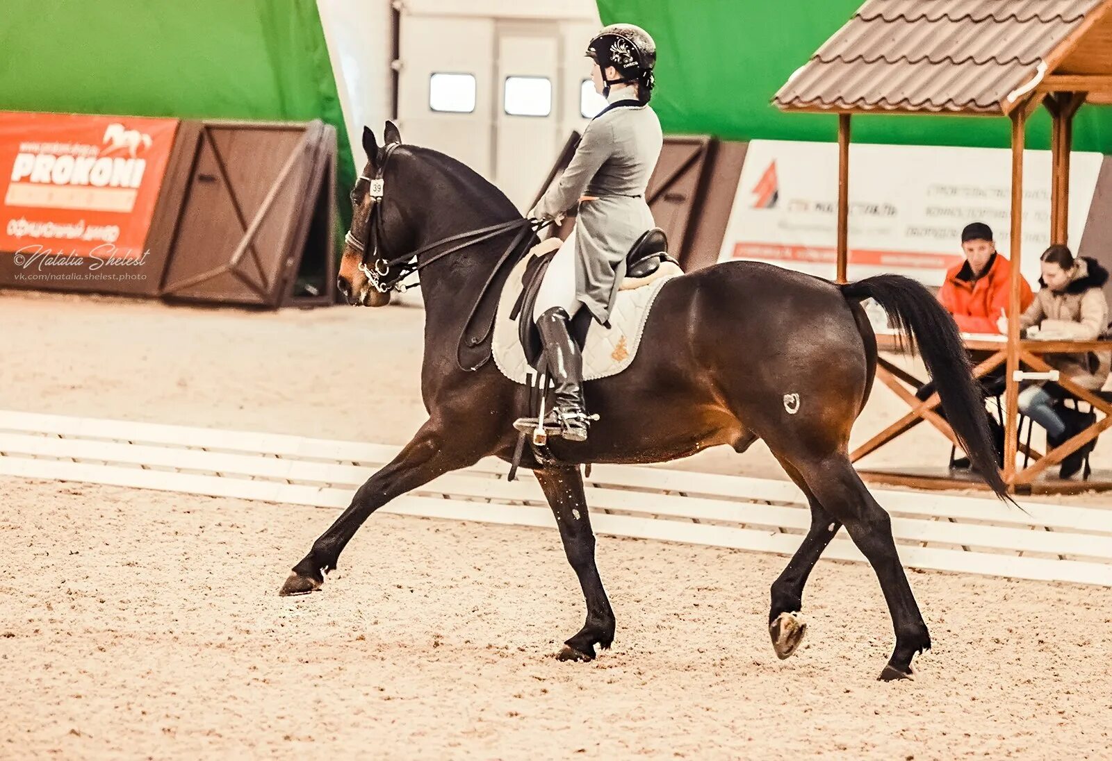 КСК Голден Хорс. КСК Голден Хорс Таганрог. Golden Horse Таганрог. Лошади КСК Голден Хорс Таганрог. Голден хорс отзывы