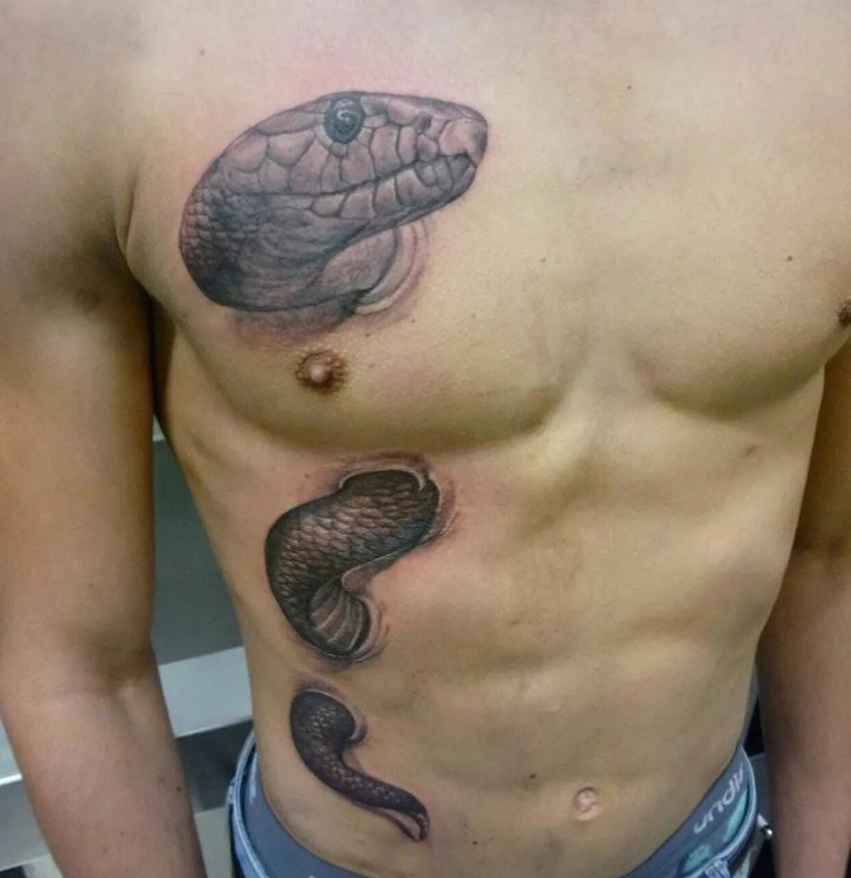 Тату змеи на груди. Татуировки для мужчин. Тату змея. Необычные Татуировки для мужчин. Татуировки на животе мужские.