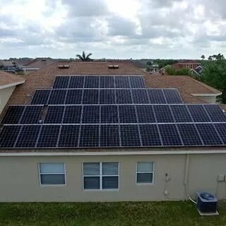 Solar bears