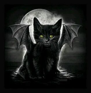 Demons cat