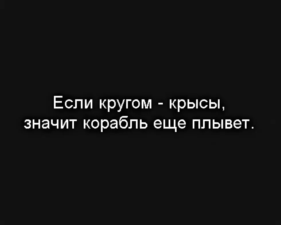 Что означает ты крыса