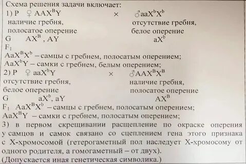 У куриц женский пол гетерогаметен скрестили