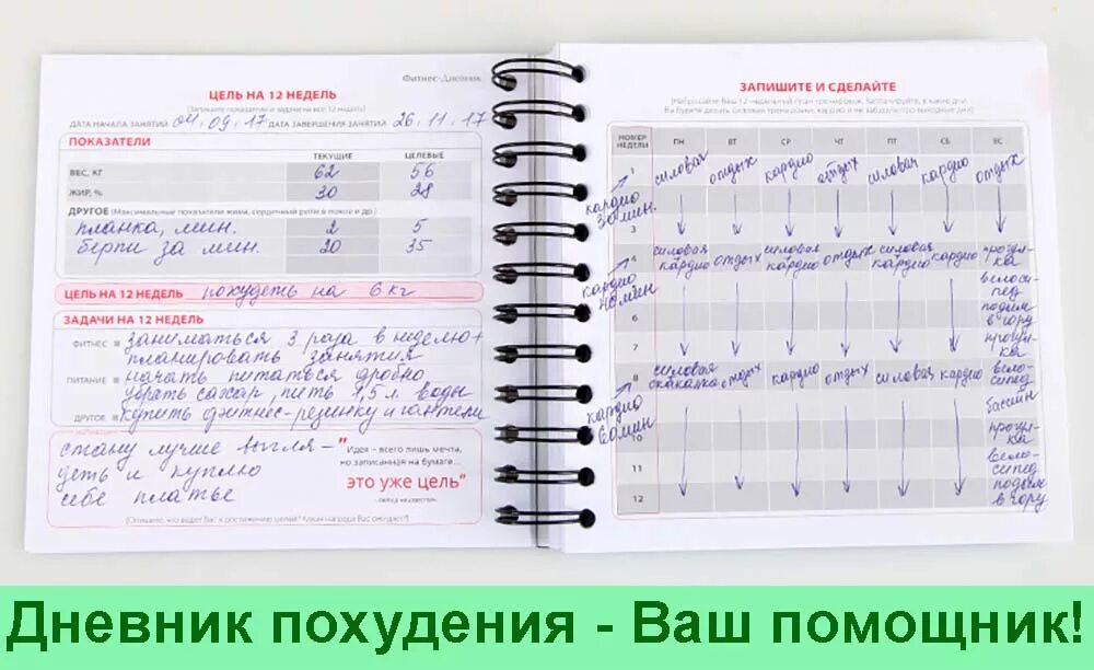 Дневник киосуо. Дневник питания. Ежедневник питания и тренировок. Дневник похудения. Тетрадь ежедневник для похудения.